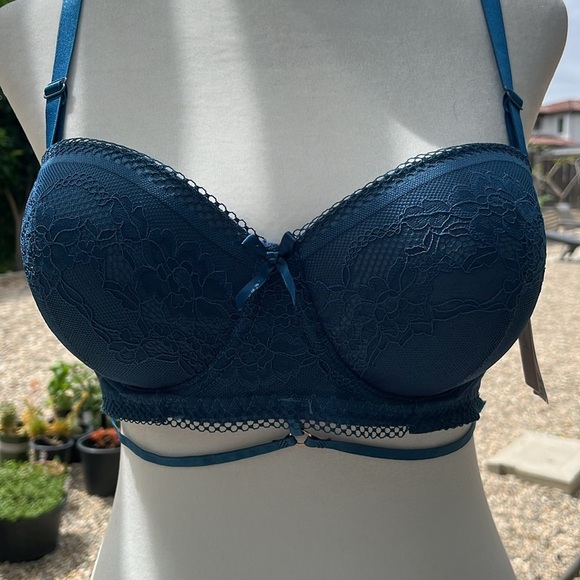 Pearlle Blue Lace Push-Up Bra NEW NWT Size 40C - Picture 5 of 10